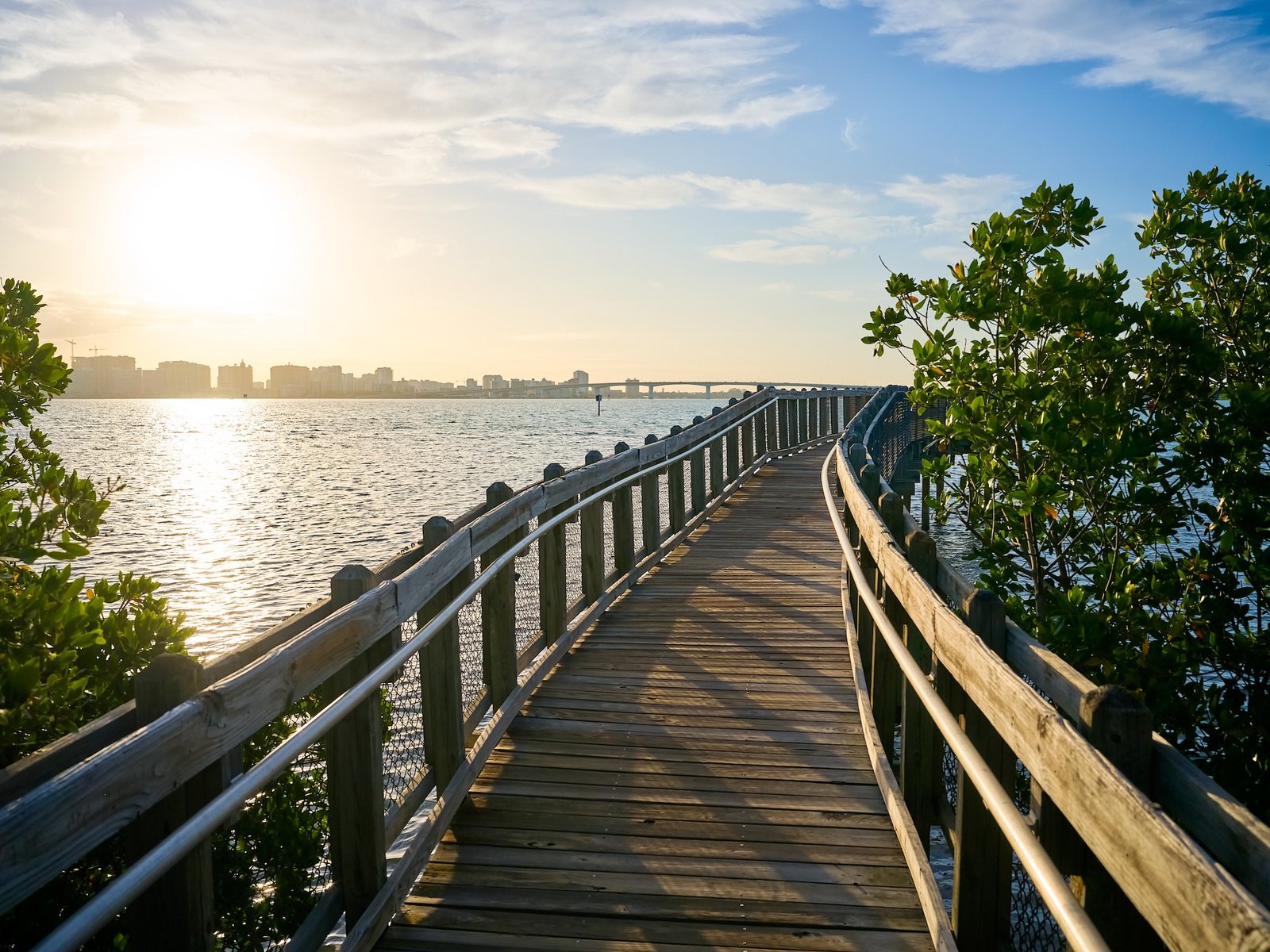 Baywalk at City Island Nature Photography Thru My Eyes Sarasota Florida